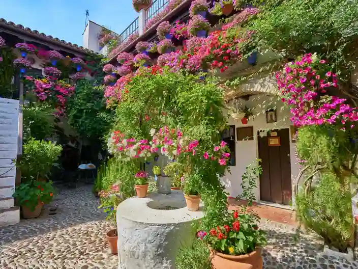 Fiesta de los Patios