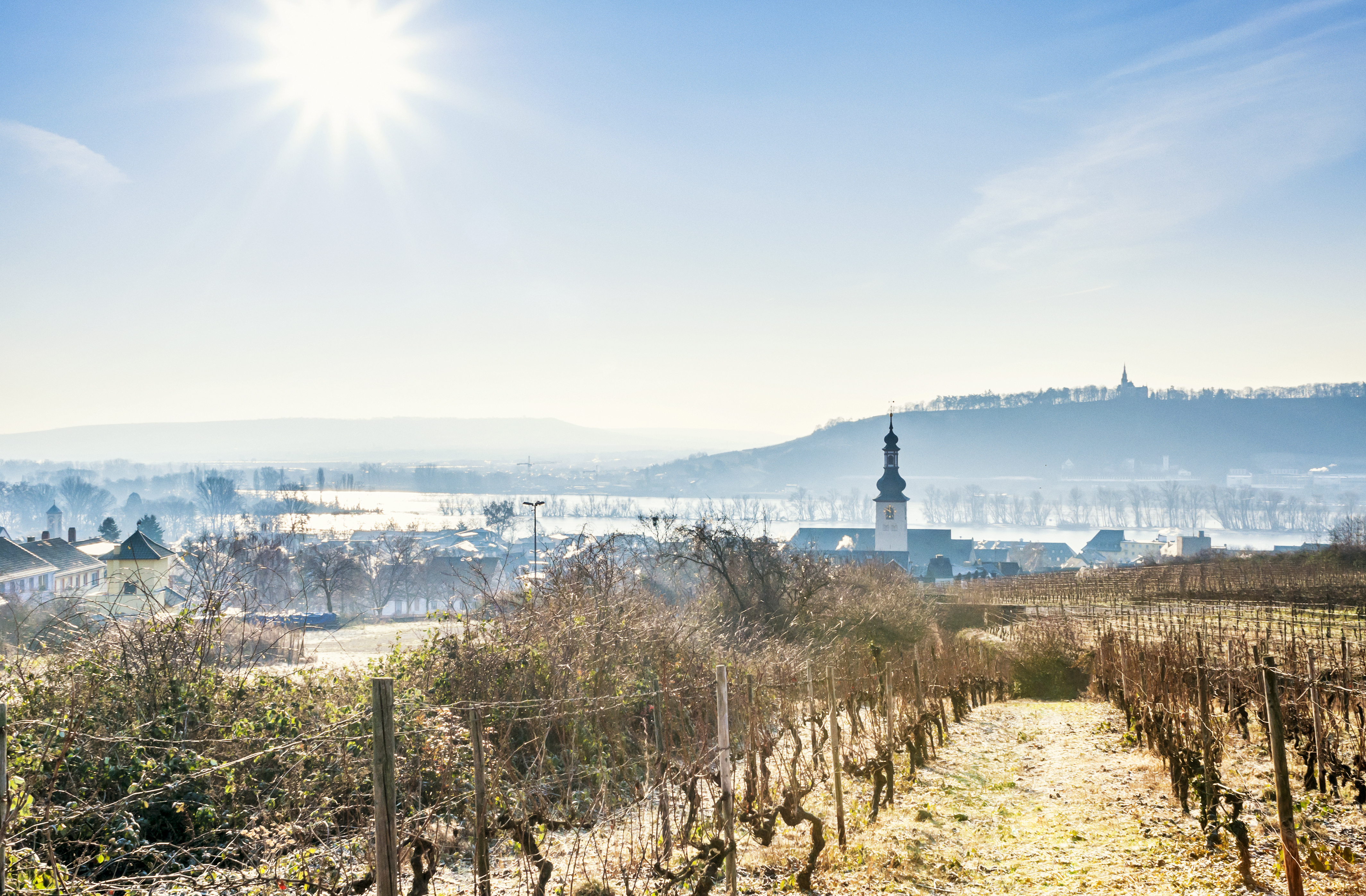 Rüdesheim