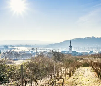 Rüdesheim