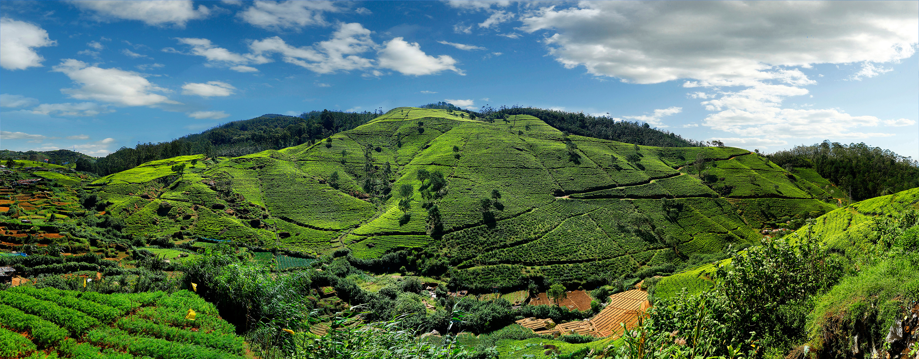 Nuwara Eliya