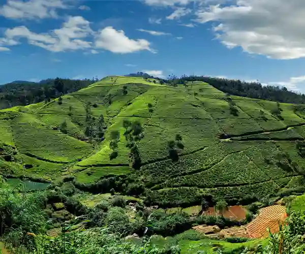 Nuwara Eliya