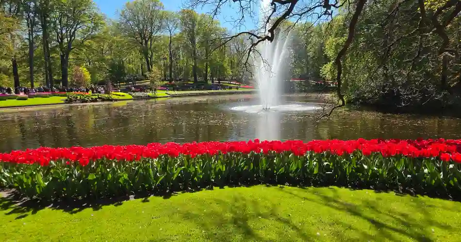 Blomsterprakt i Keukenhof