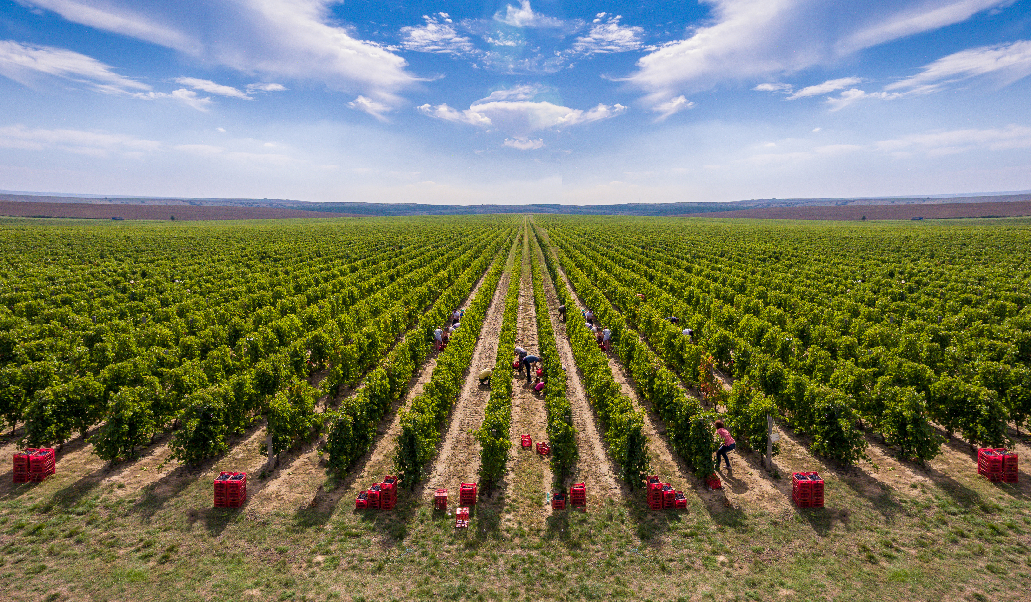 Vinmark