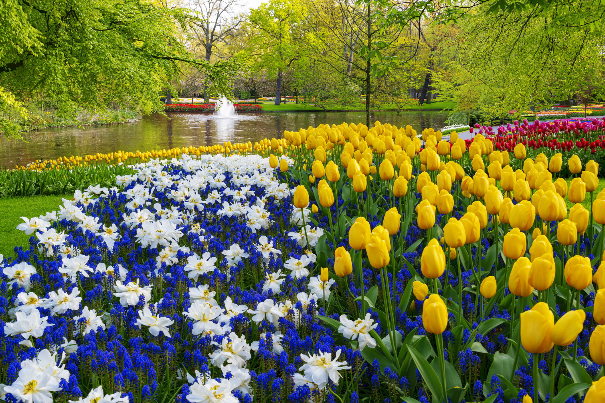 Keukenhof