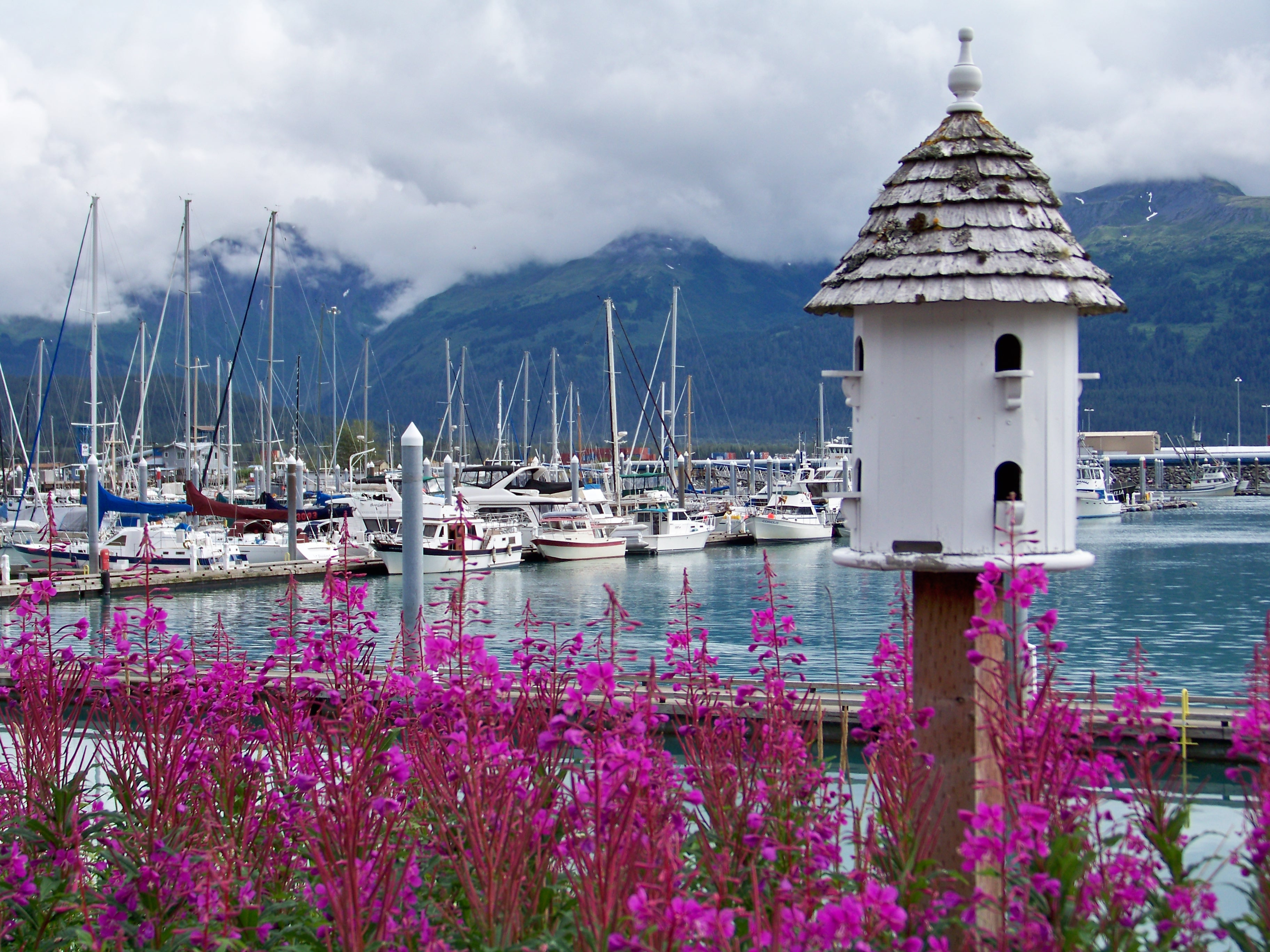 Segelbåtar i hamnen i Seward