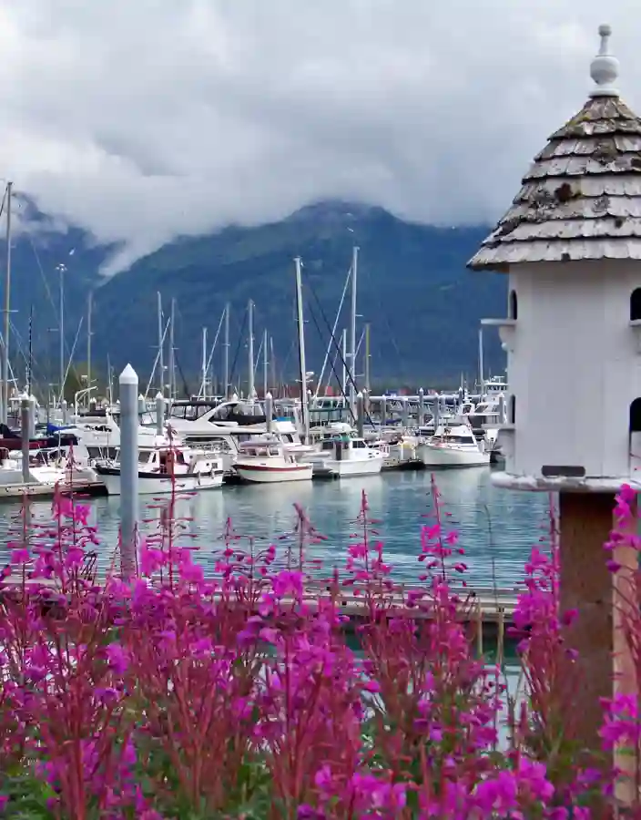 Segelbåtar i hamnen i Seward