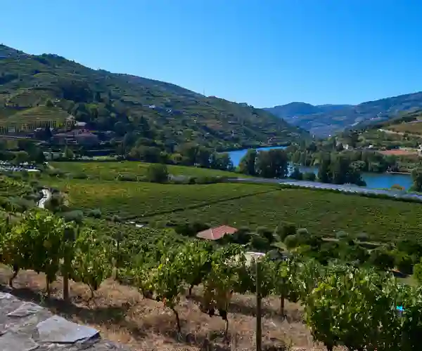 Dourofloden, Peso Da Régua