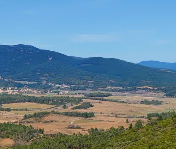 Saint Chinian