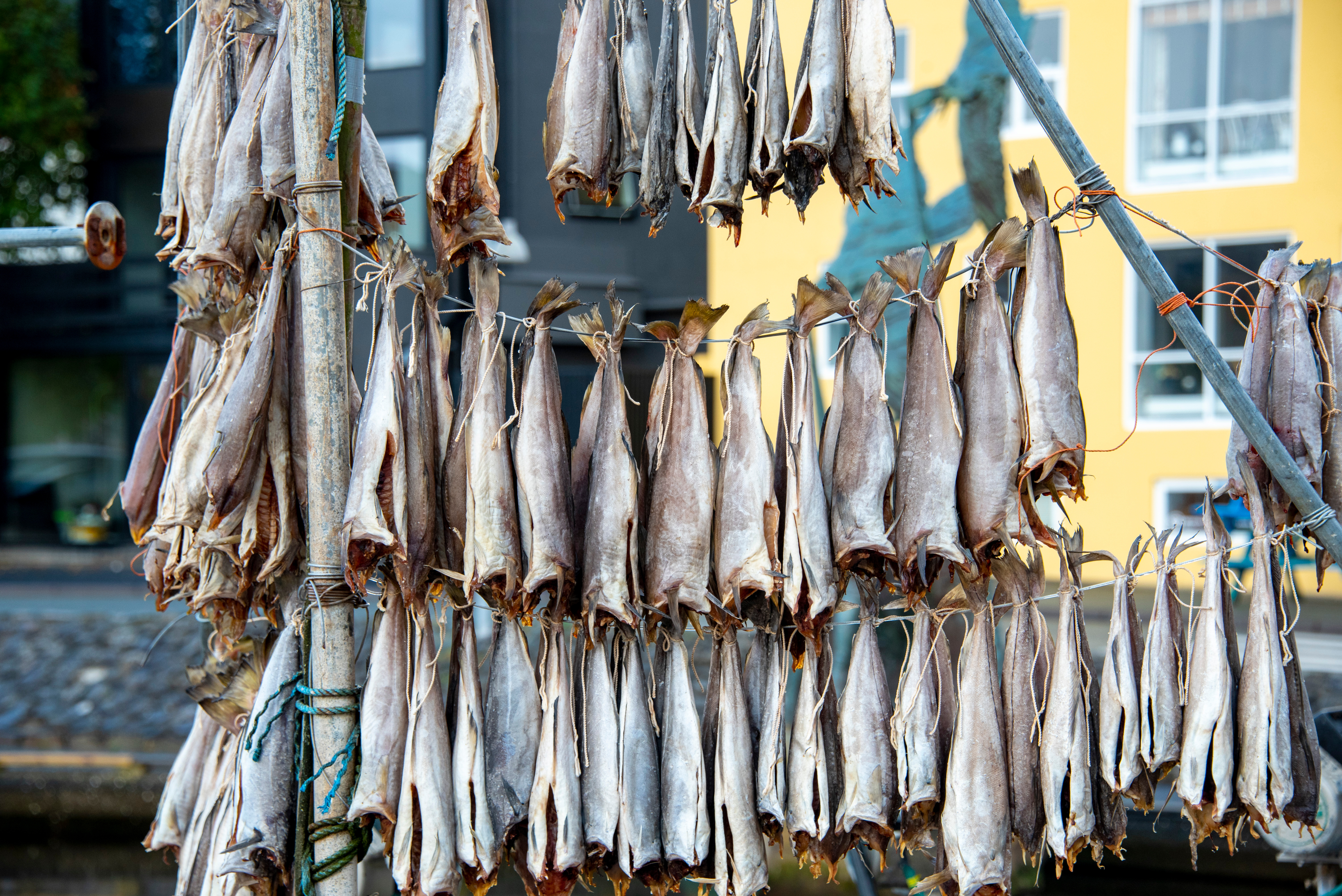 Lufttørret Fisk