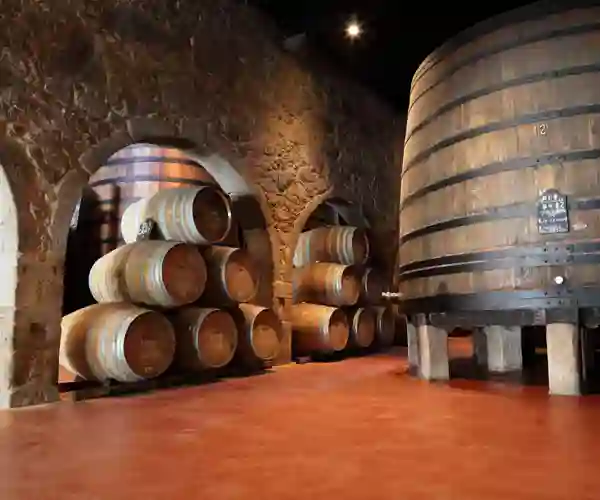 Vinsmaking i Porto