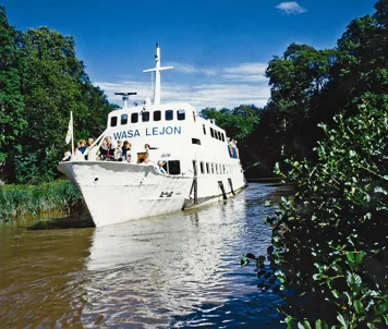M/S Wasa Lejon